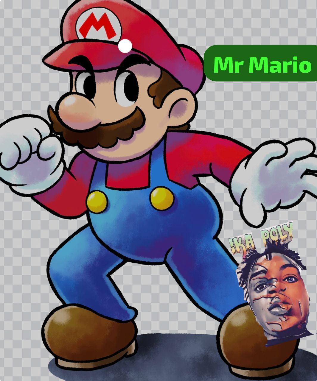 Mr Mario New Orentetion