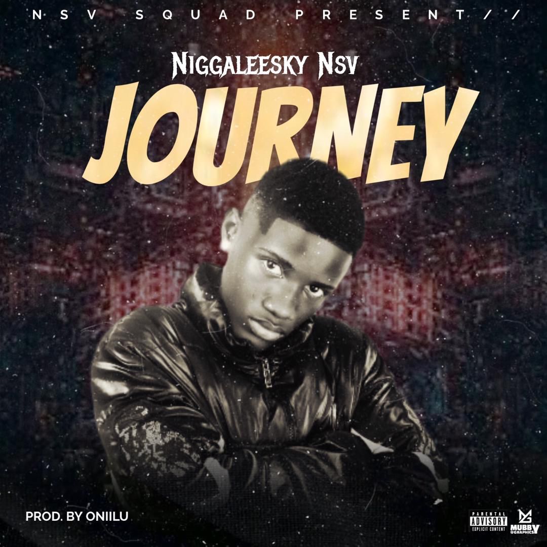 Niggaleesky Nsv Journey