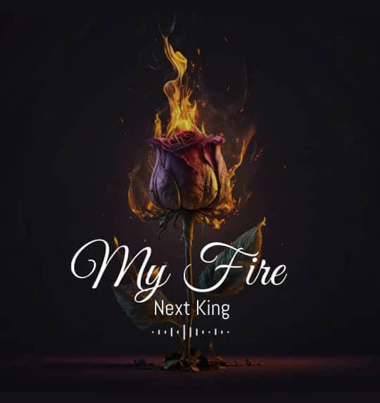 Next King My Fire EP